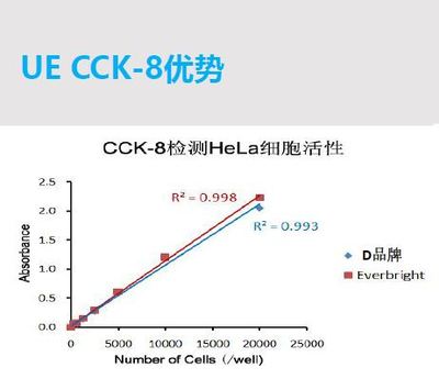 细胞毒性活性检测试剂盒 CKK-8