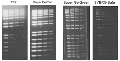 Super GelRed无毒核酸染料 EB、GoldView替代物